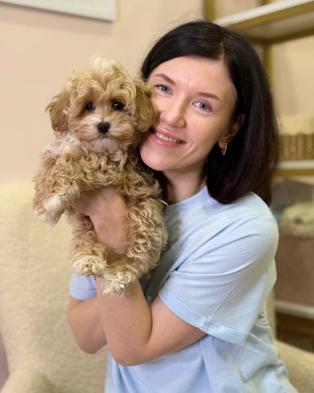 Athos(poodle) - Image 2